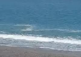 /api/file/public/260719/15438