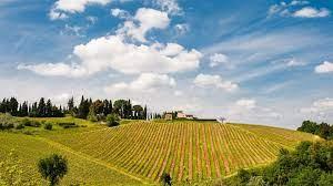 /api/file/public/260725/15512