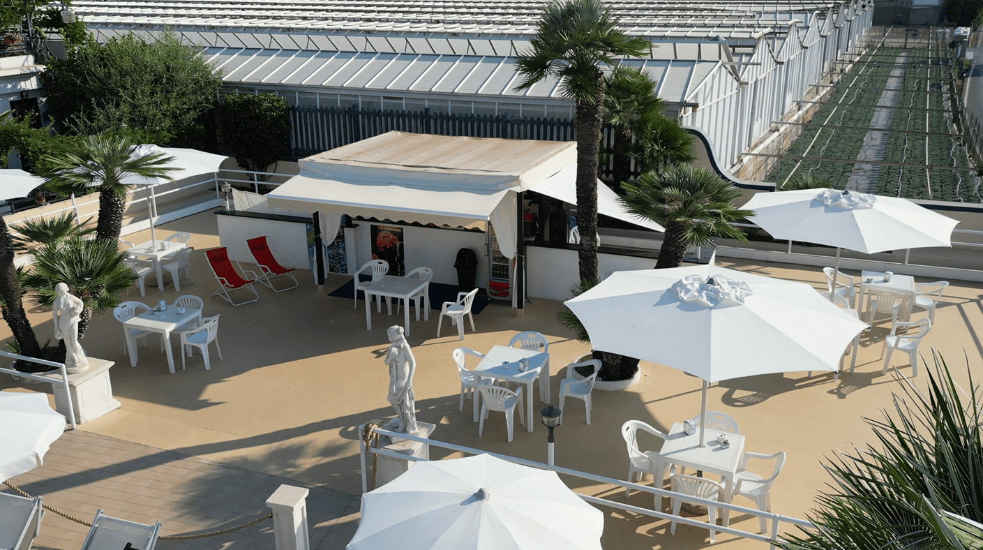 /api/file/public/260747/16466