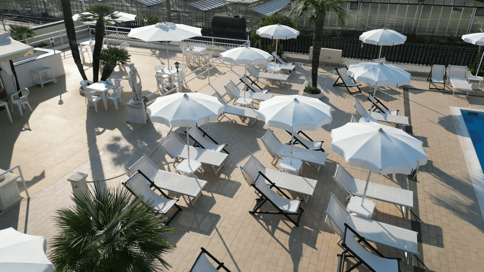 /api/file/public/260747/16468