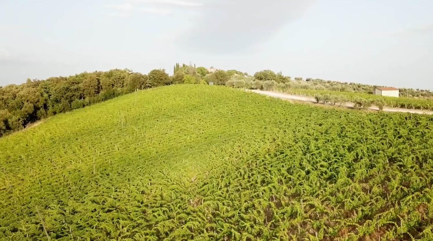 /api/file/public/260779/15836