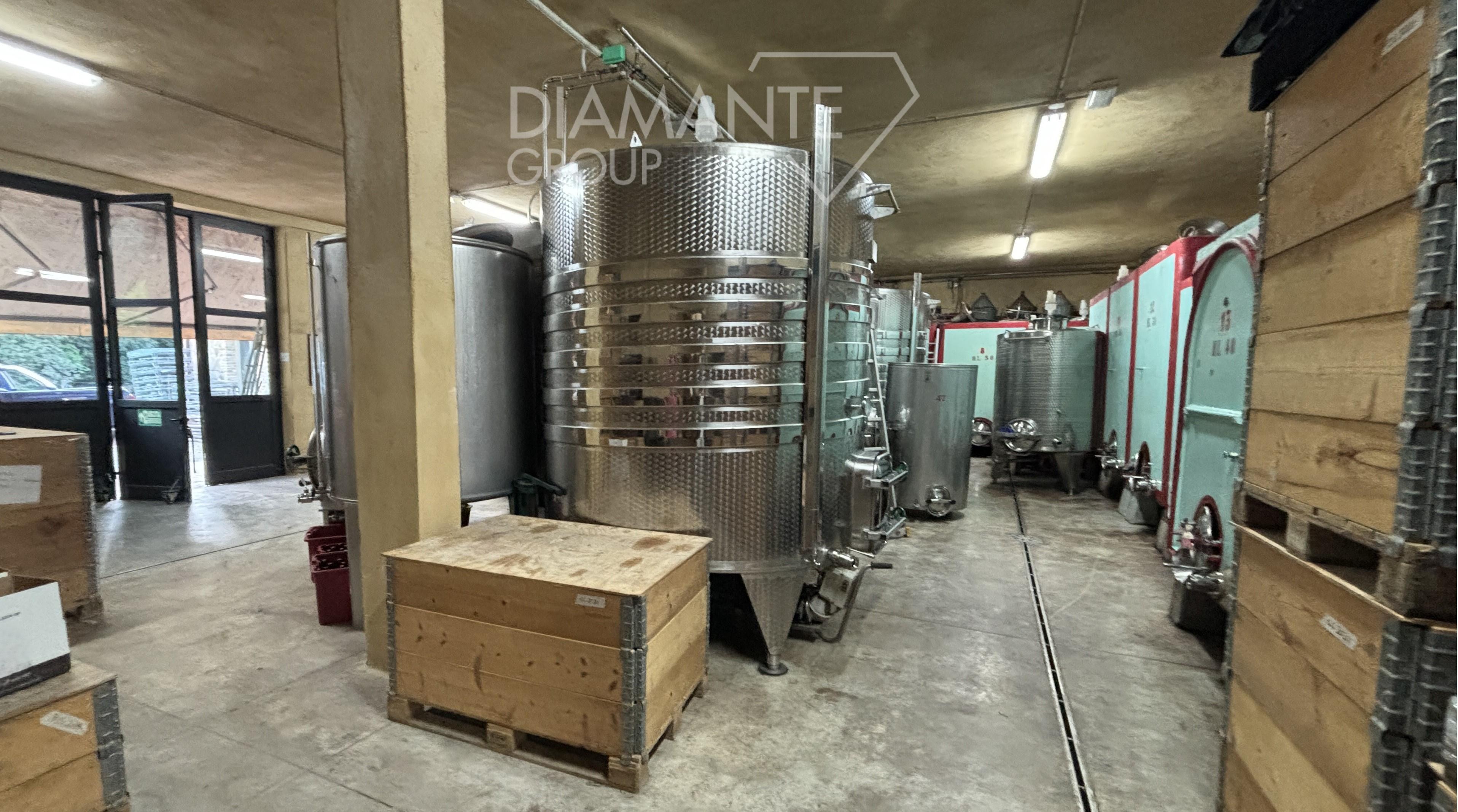 /api/file/public/260779/16508