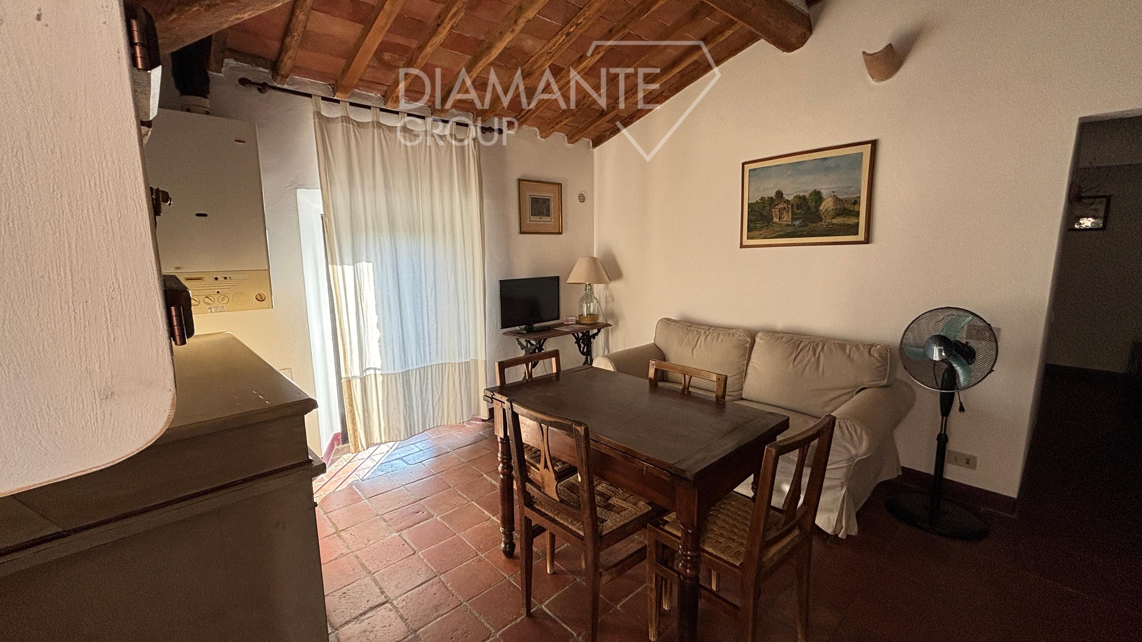 /api/file/public/260779/16512