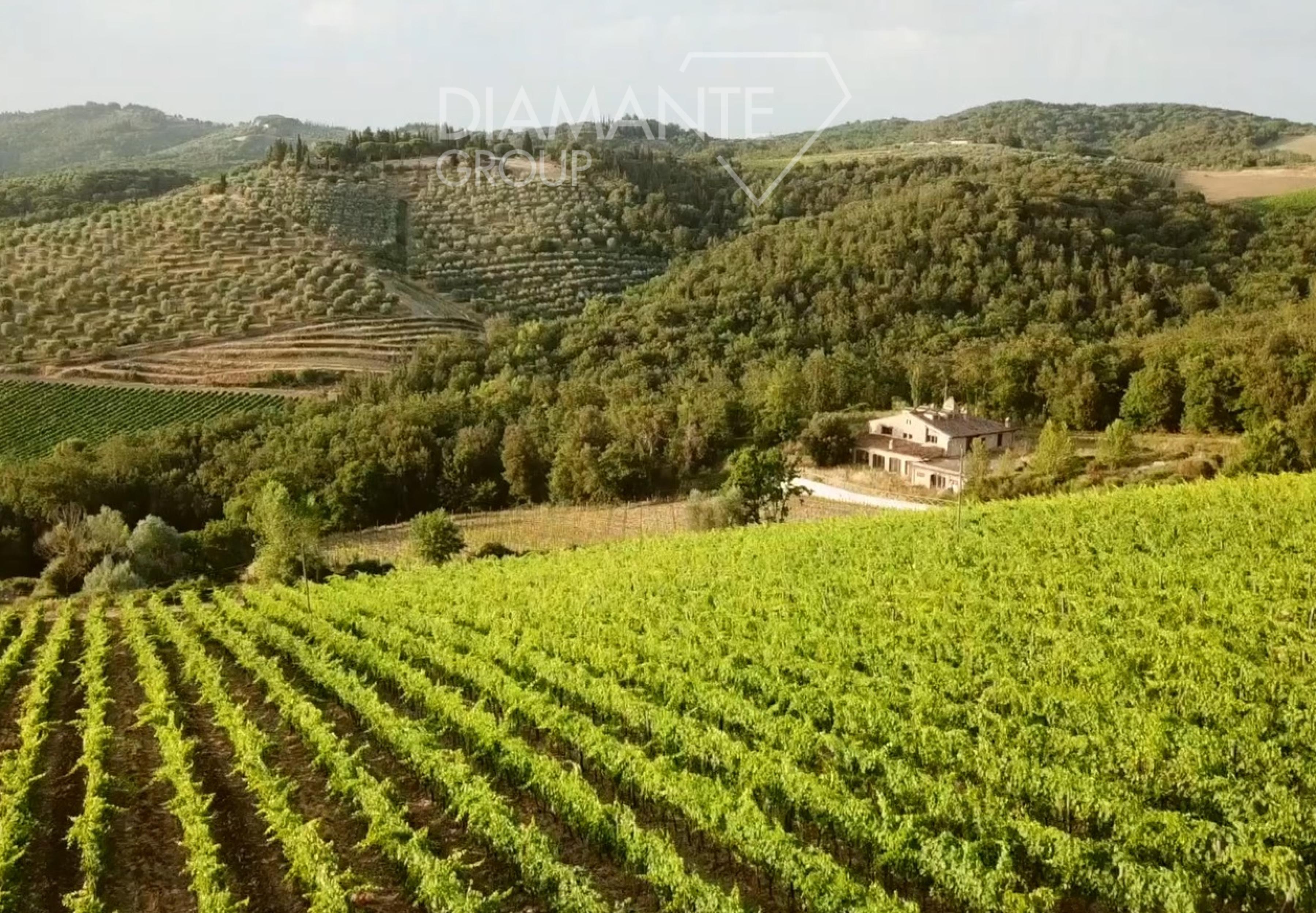 /api/file/public/260779/16513