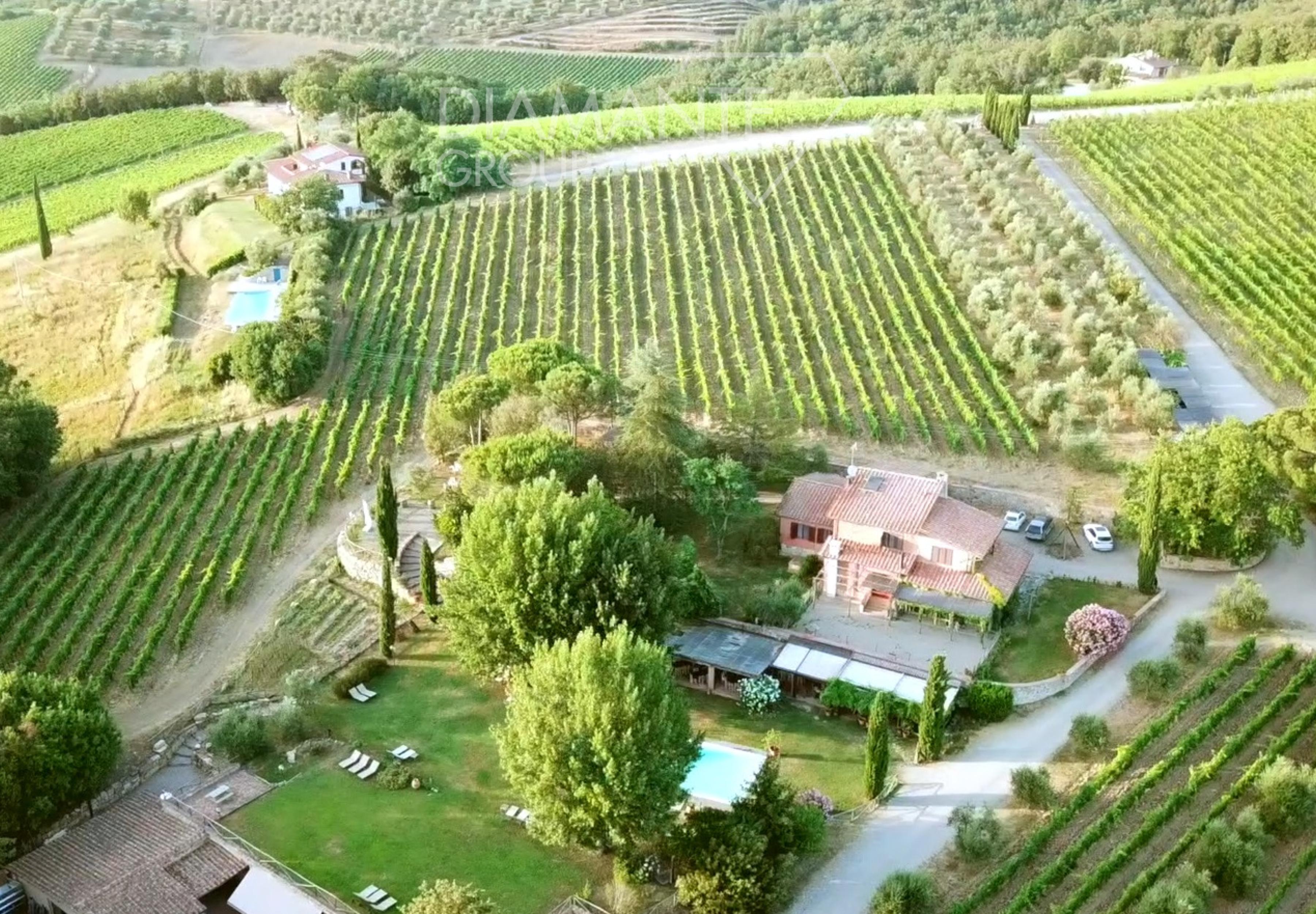 /api/file/public/260779/16514