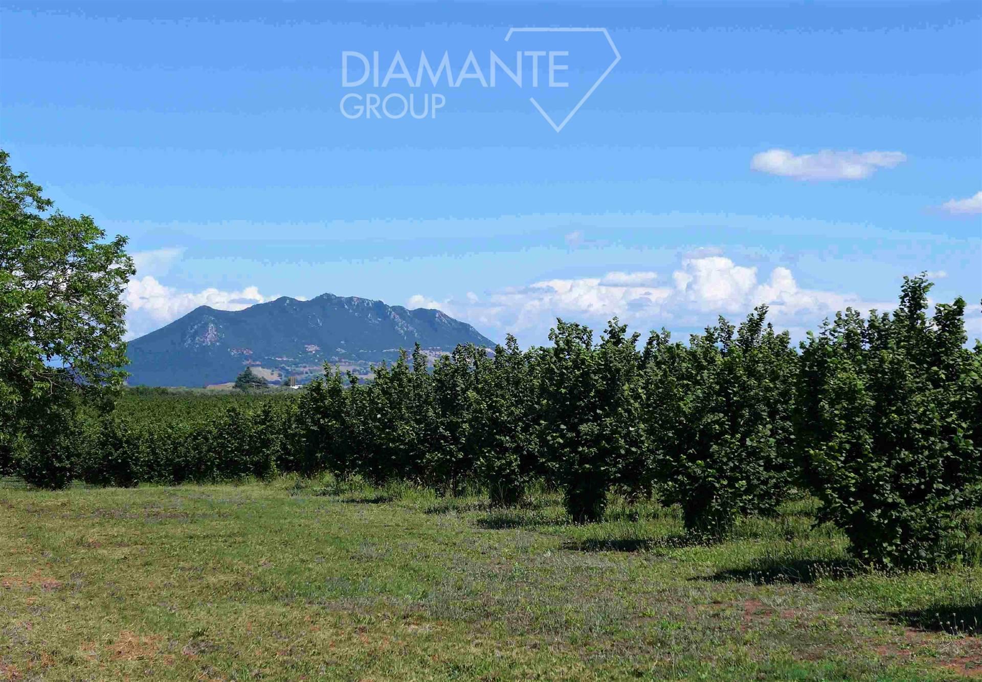 /api/file/public/260780/15838