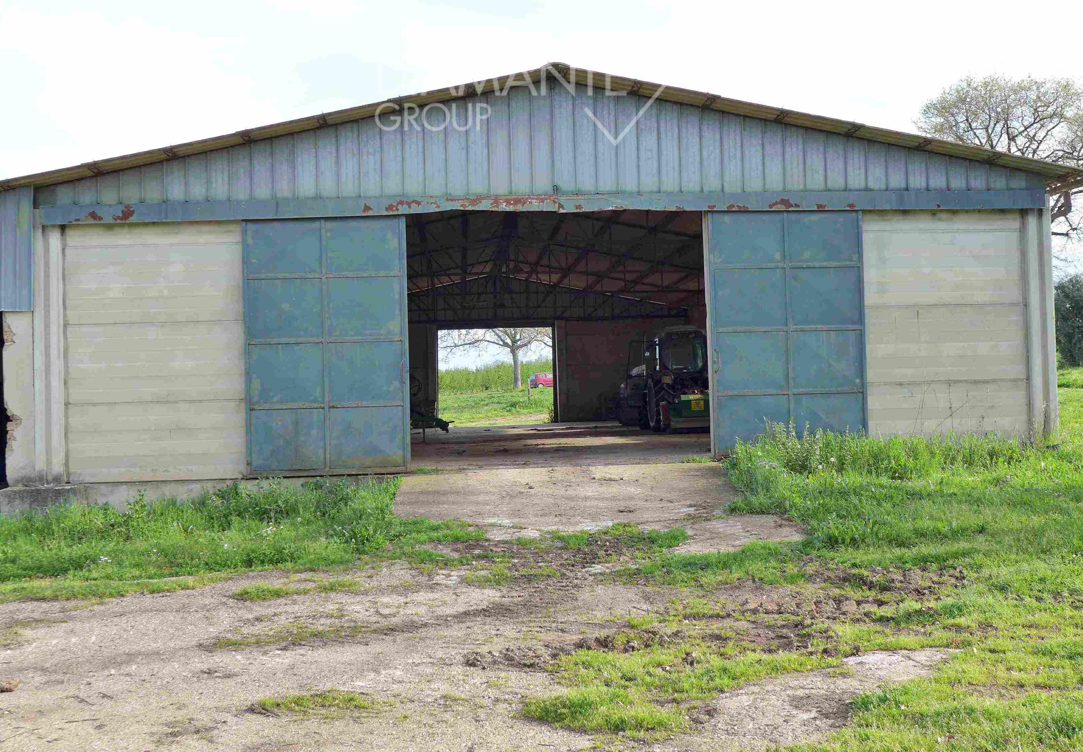 /api/file/public/260780/16518