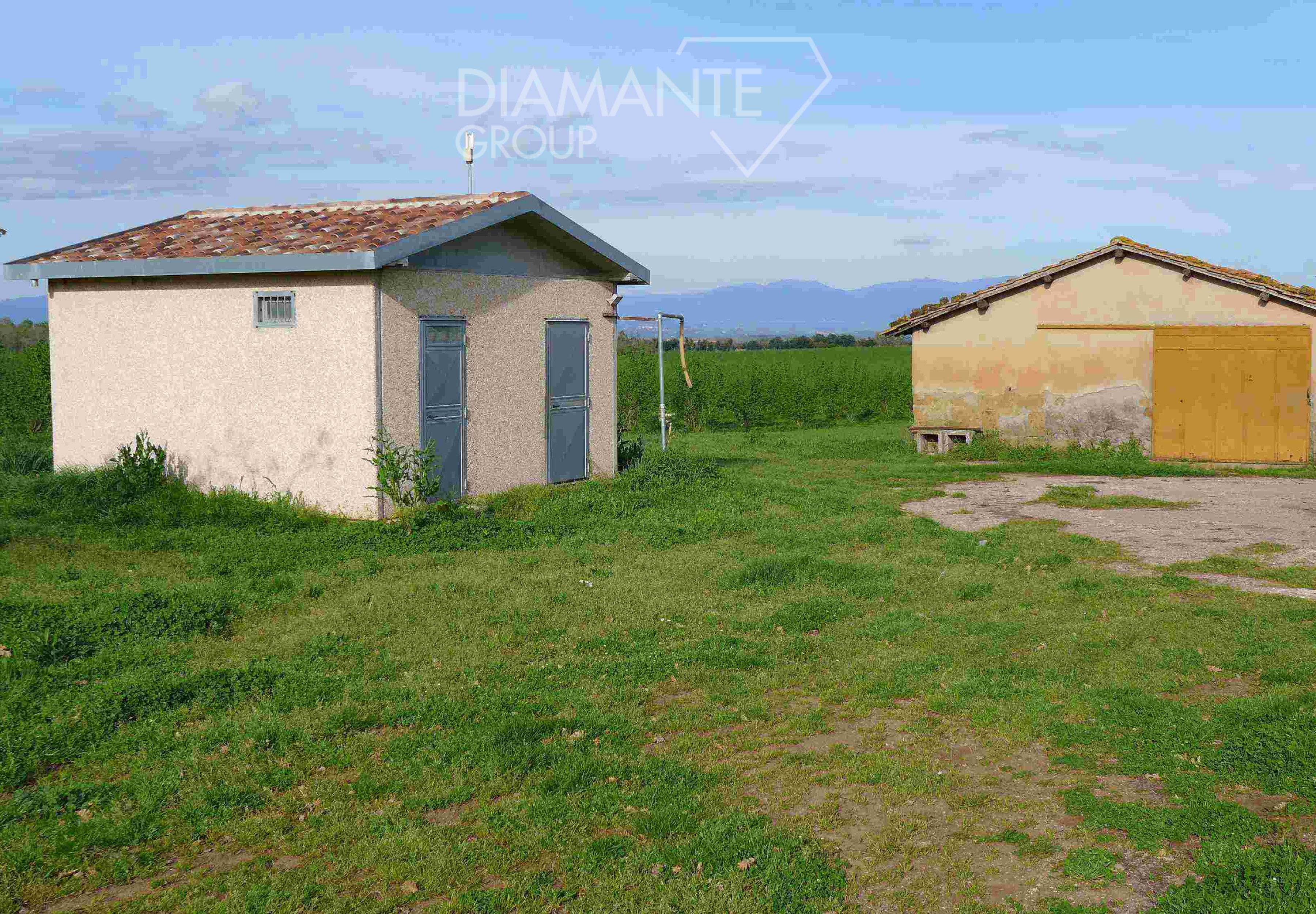 /api/file/public/260780/16519