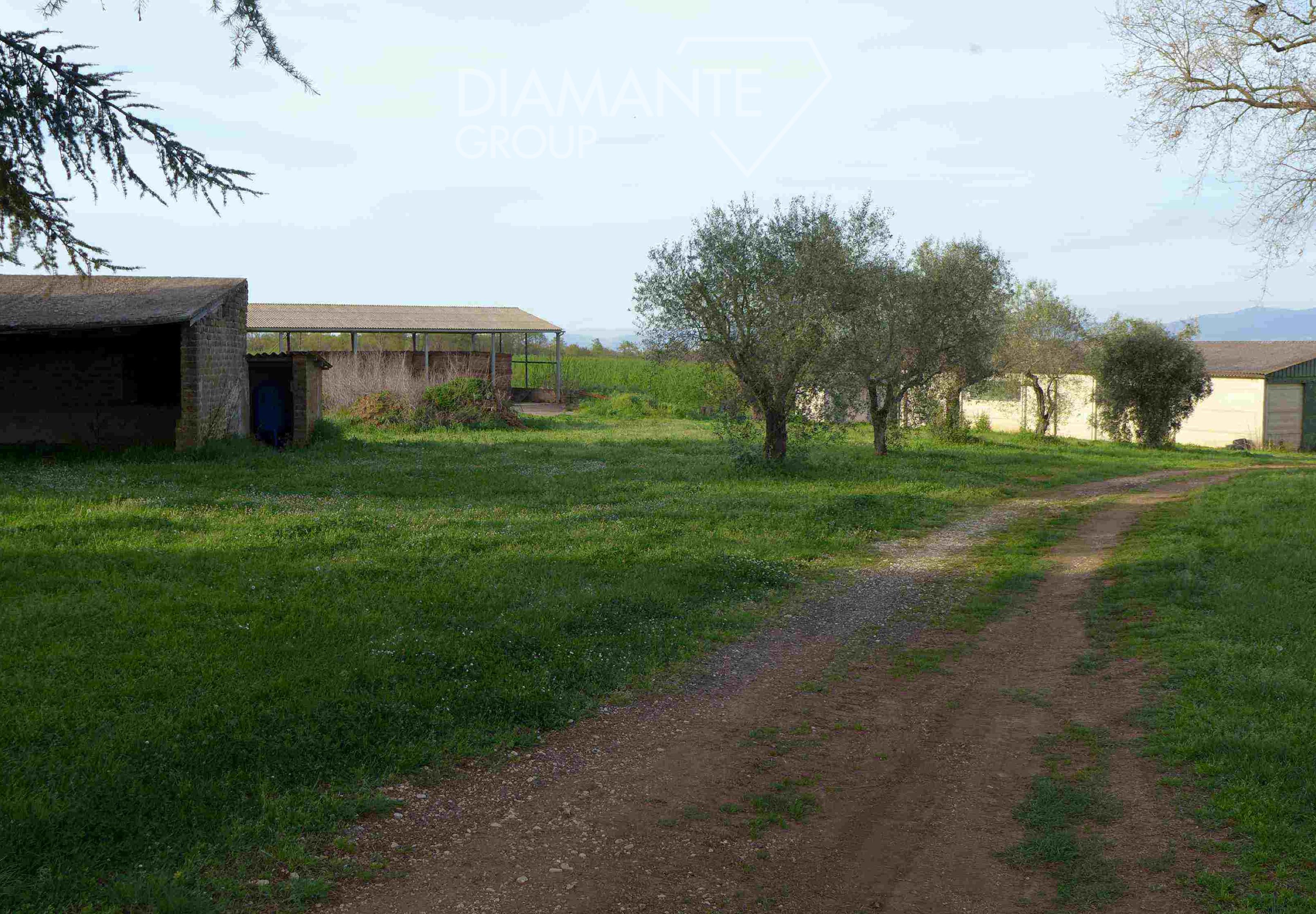 /api/file/public/260780/16520