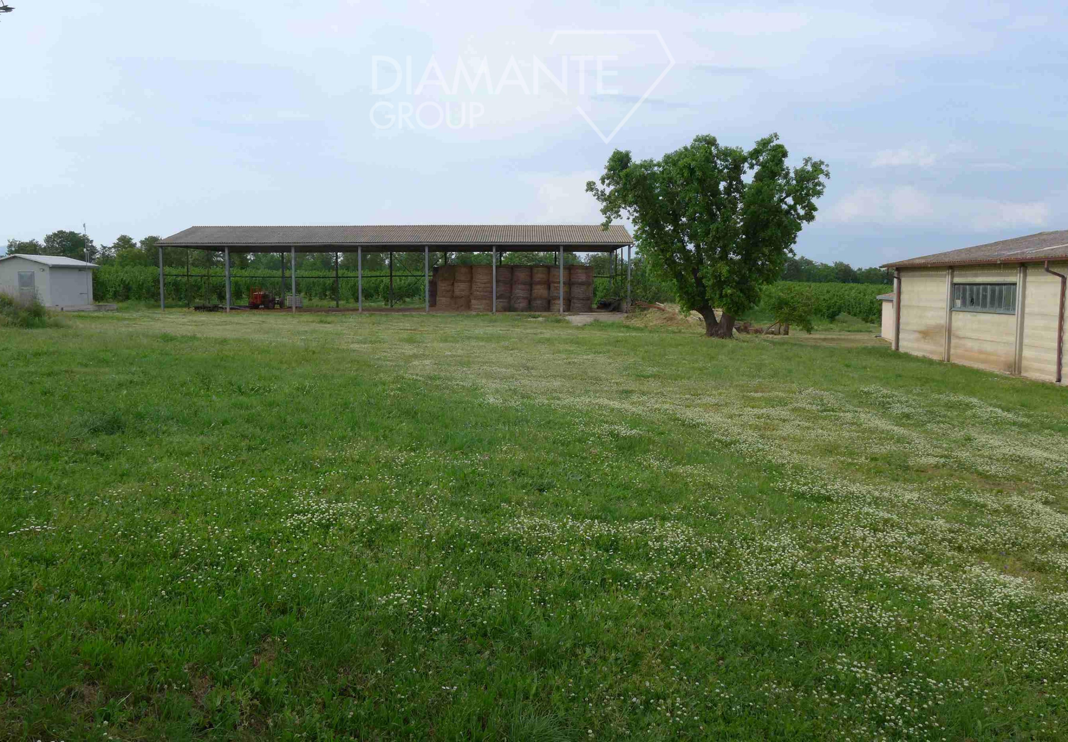 /api/file/public/260780/16522