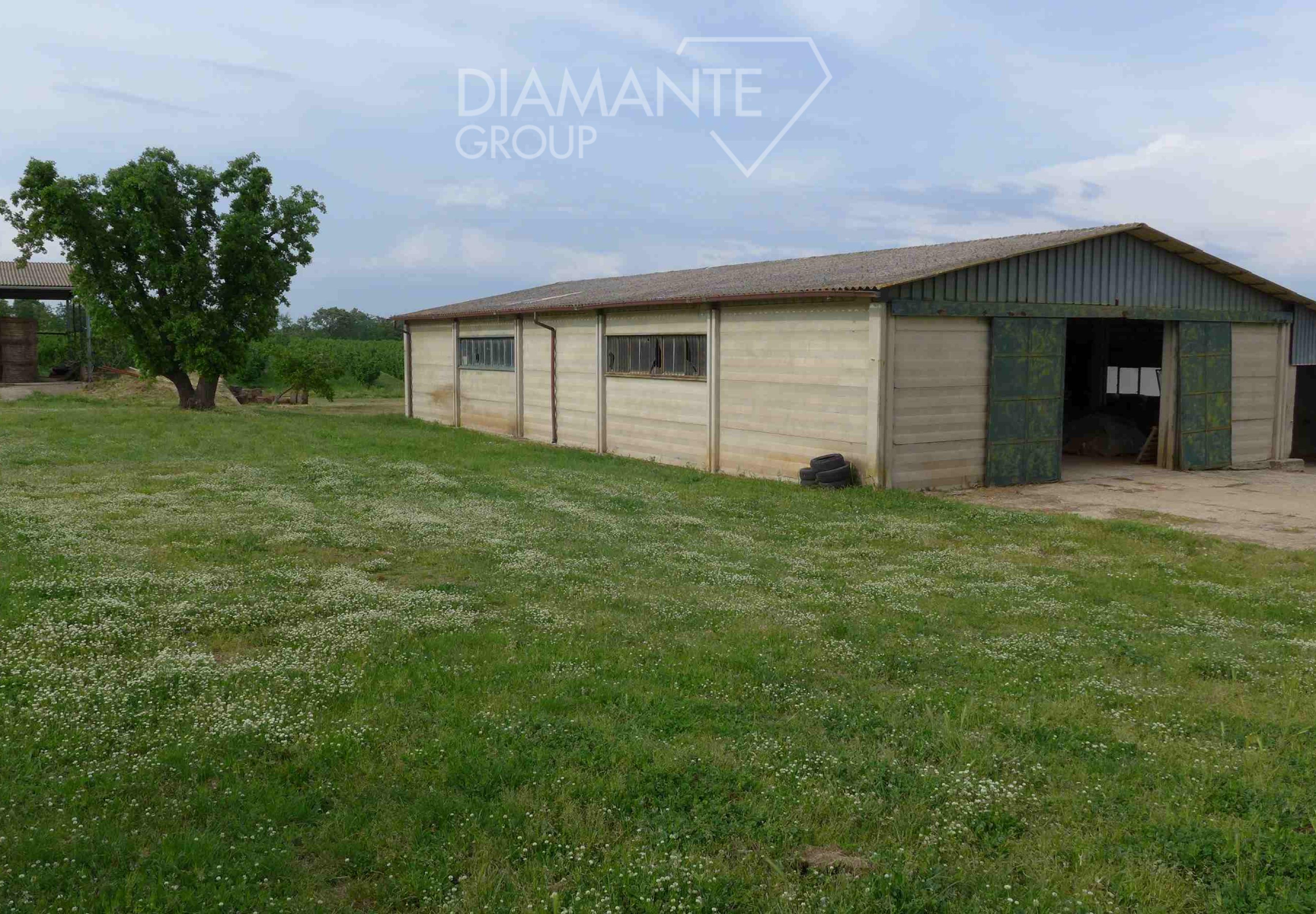 /api/file/public/260780/16523