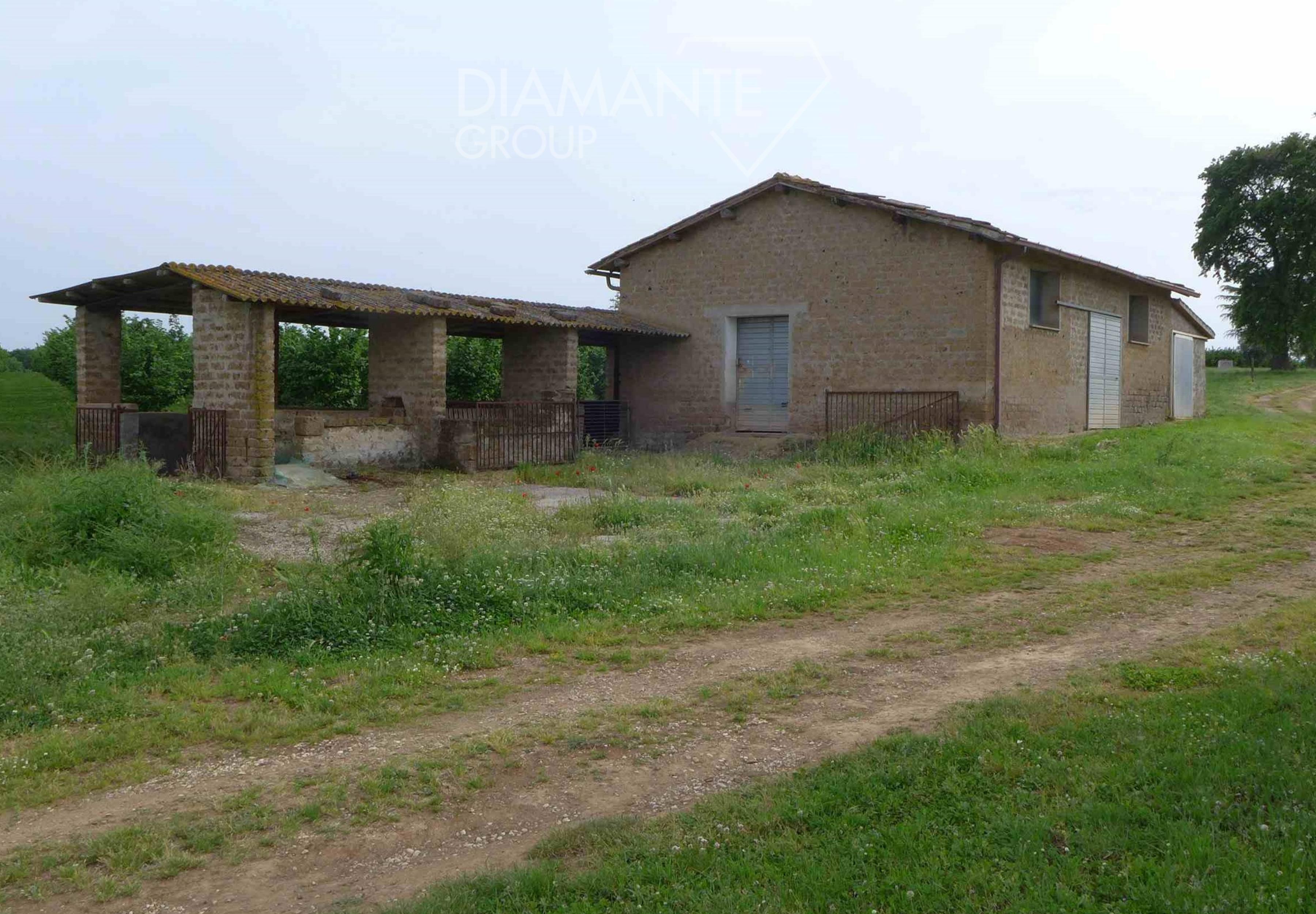 /api/file/public/260780/16524