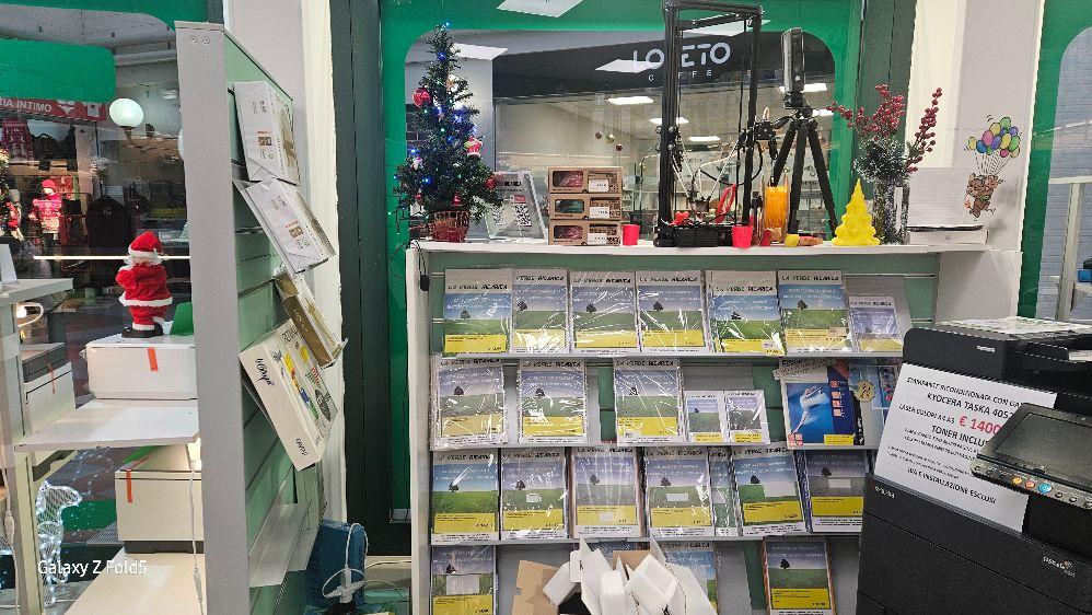 /api/file/public/260828/30200