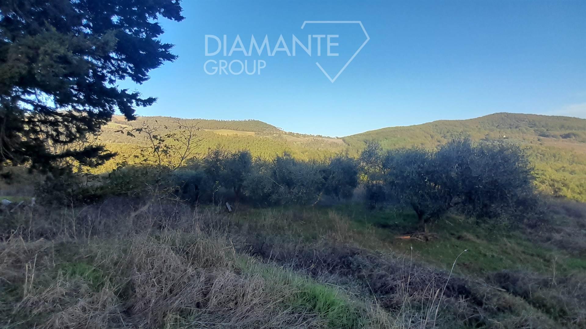 /api/file/public/260840/16110