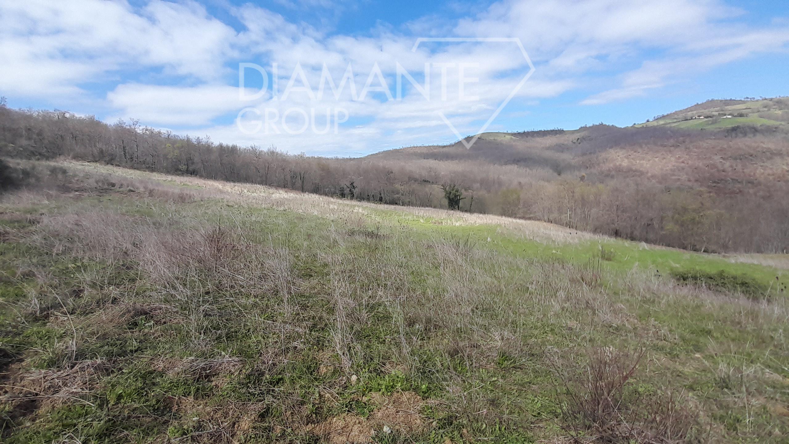 /api/file/public/260840/20917