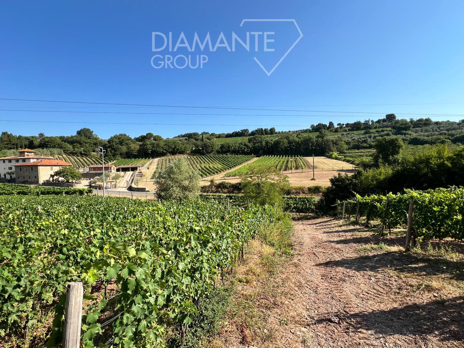 /api/file/public/260842/19871