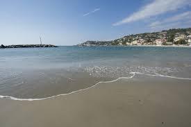 /api/file/public/260981/16652