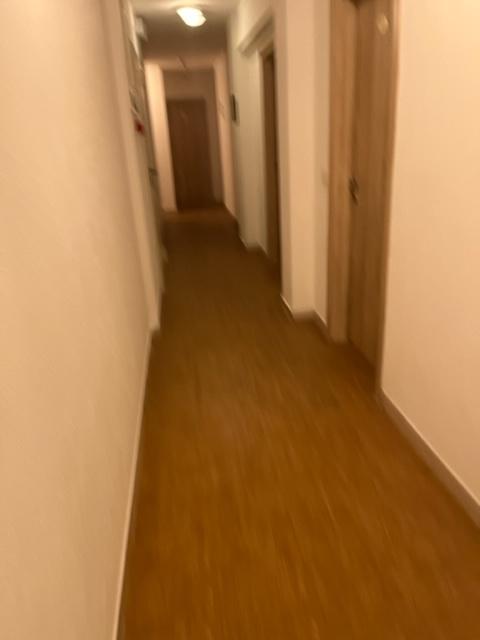 /api/file/public/260996/16746