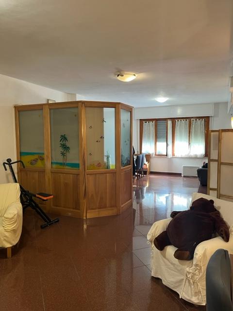 /api/file/public/260996/16749