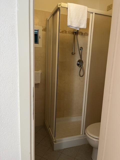 /api/file/public/260996/16761