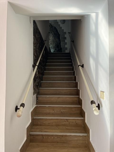 /api/file/public/260996/16769