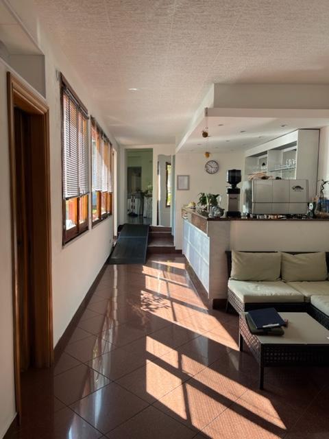 /api/file/public/260996/16775