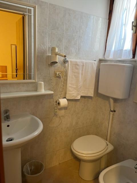 /api/file/public/260996/16783