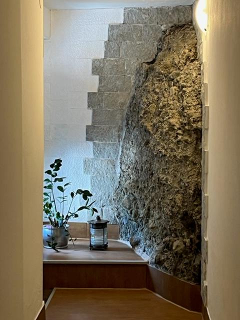 /api/file/public/260996/16785