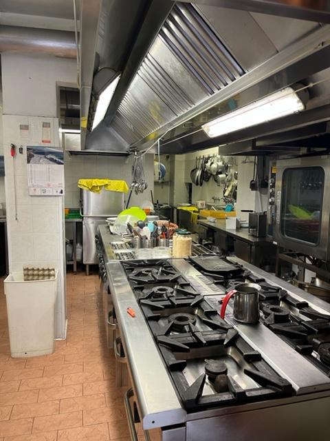 /api/file/public/260996/16786