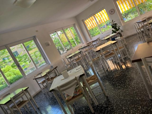 /api/file/public/260996/16787