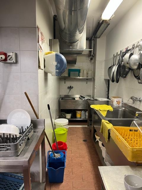 /api/file/public/260996/16788