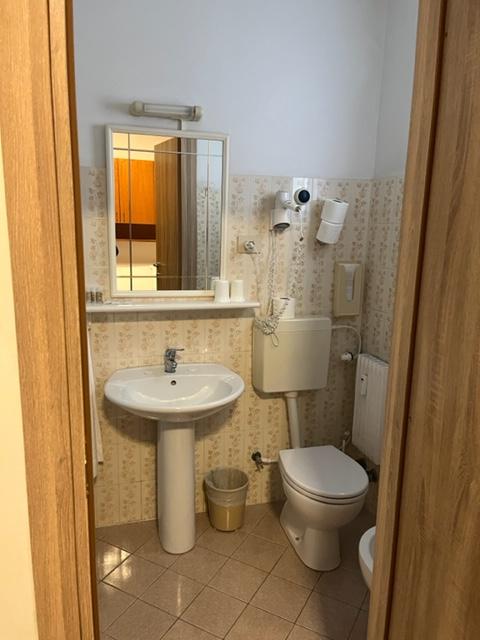 /api/file/public/260996/16789