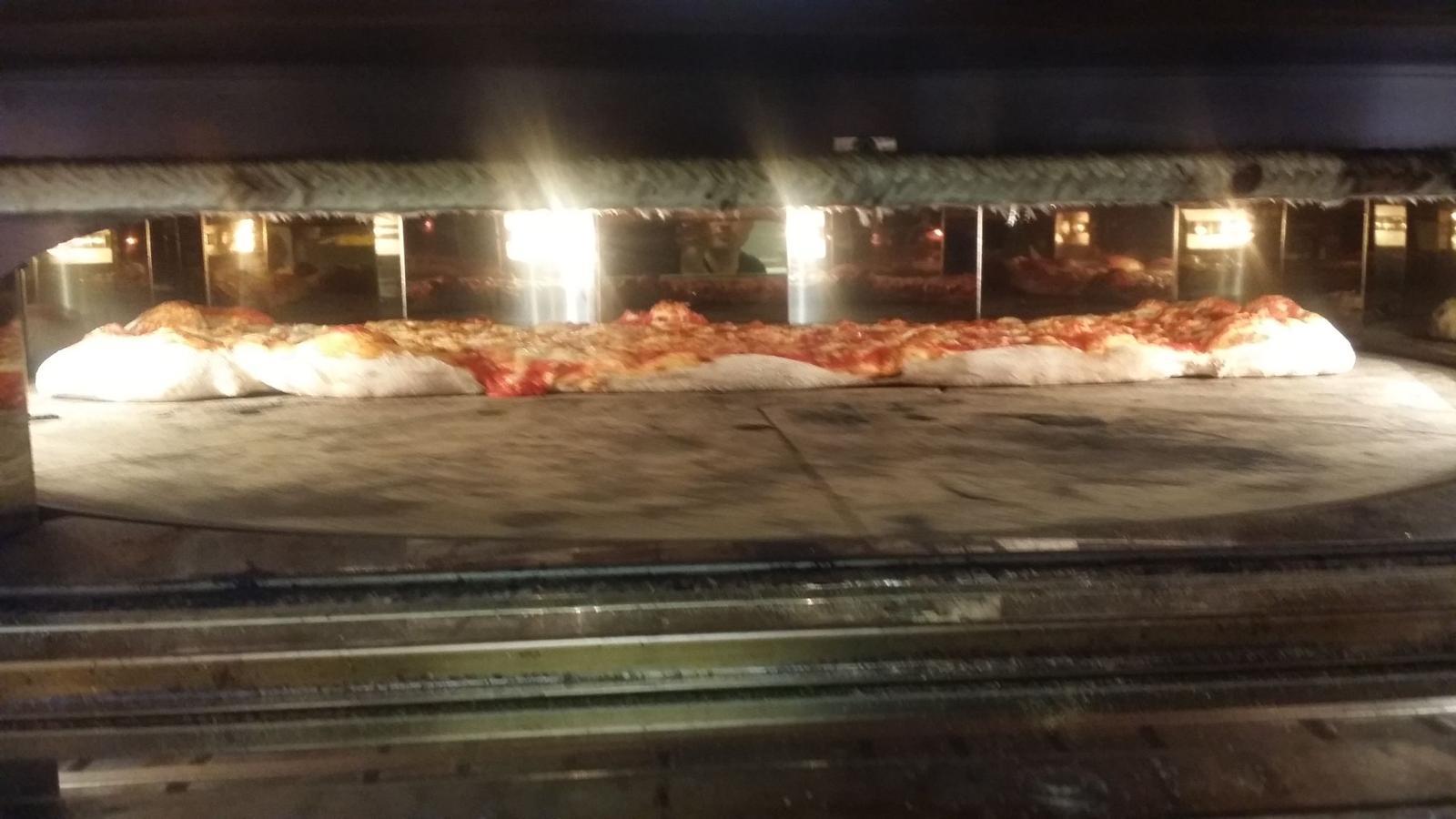 /api/file/public/261033/16980