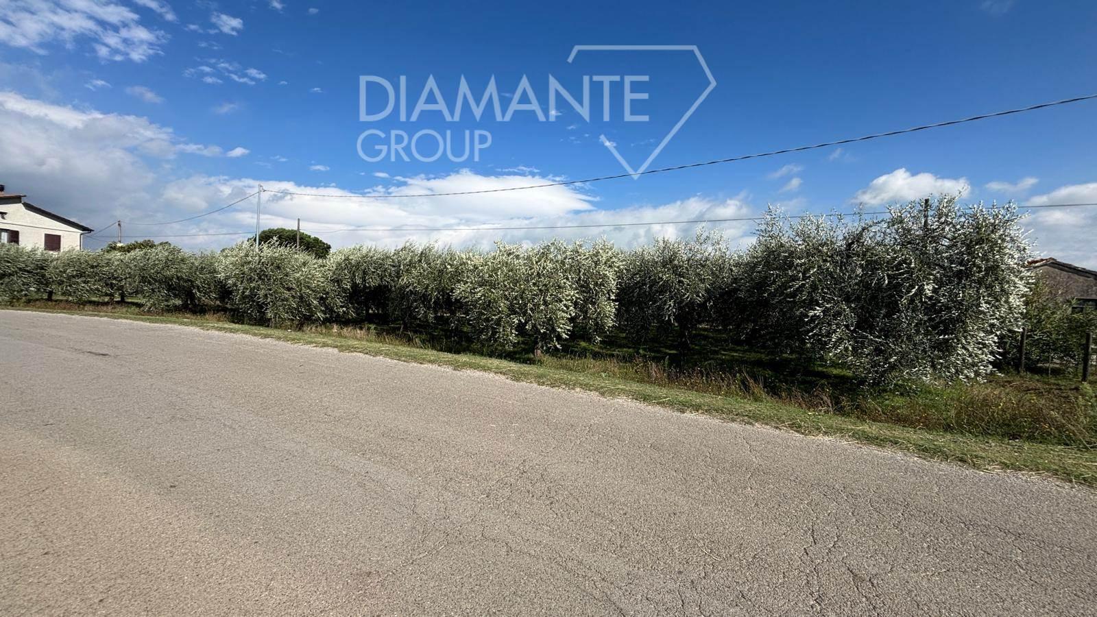 /api/file/public/261119/17356