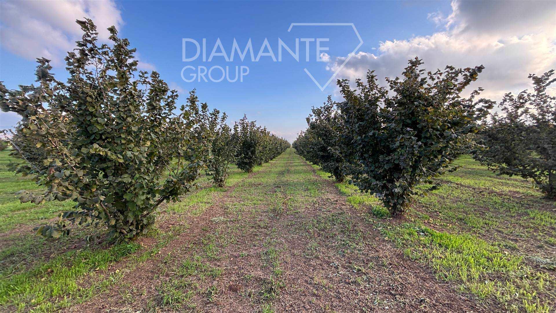 /api/file/public/261558/17608