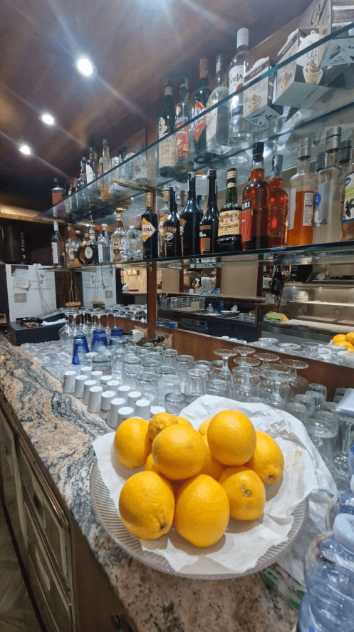 /api/file/public/261942/17937