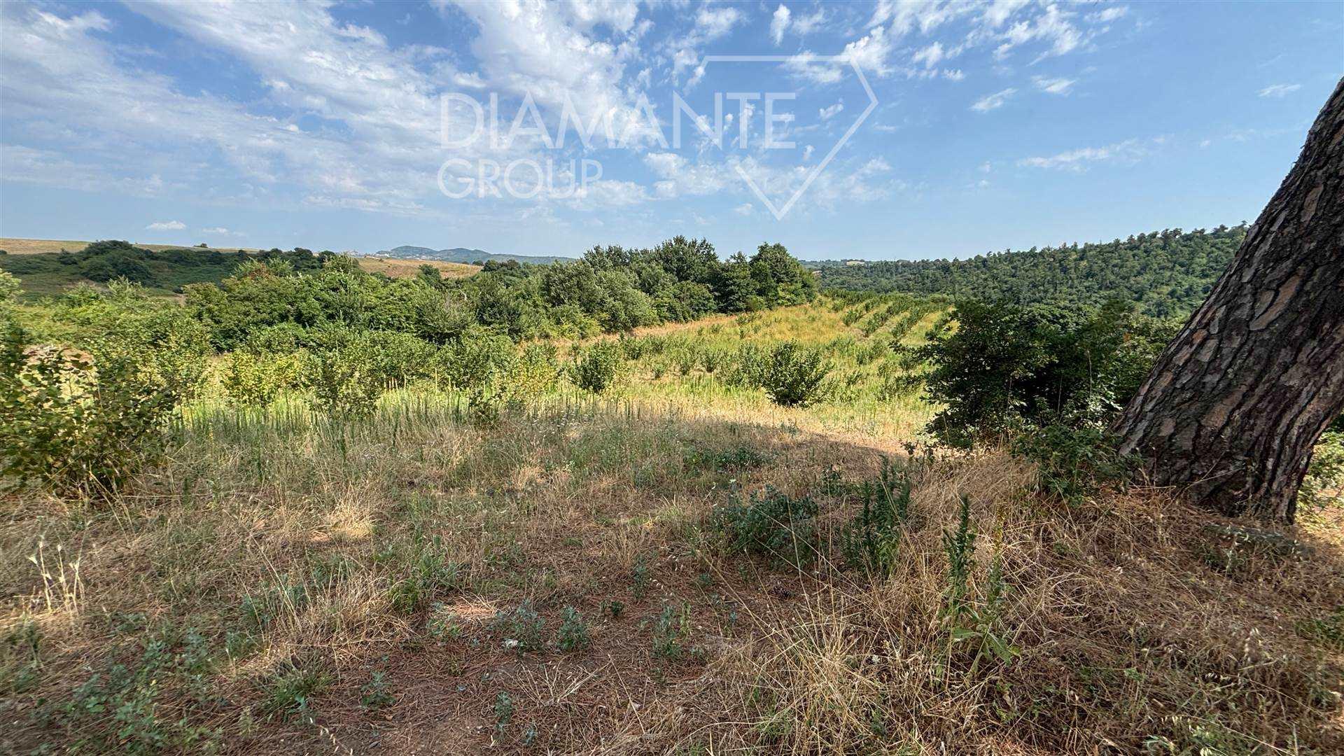 /api/file/public/261945/17953