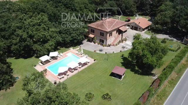 /api/file/public/261946/17954