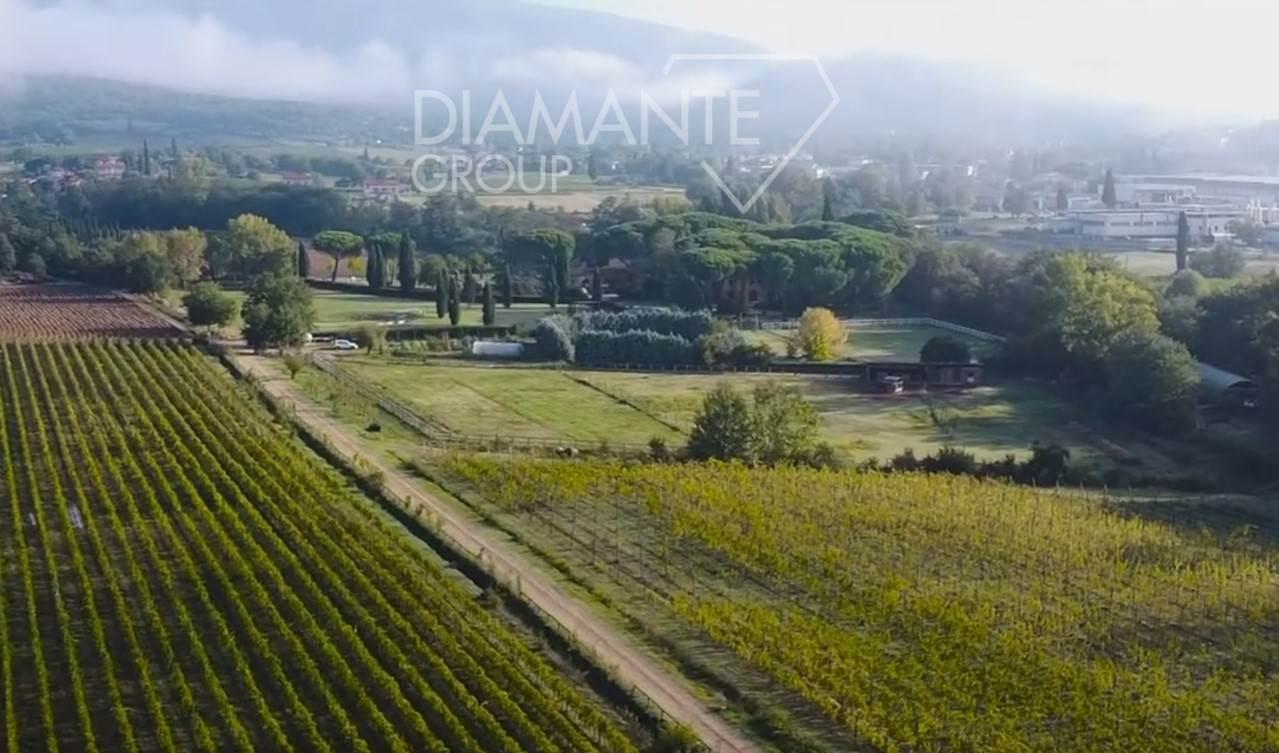 /api/file/public/261947/17956