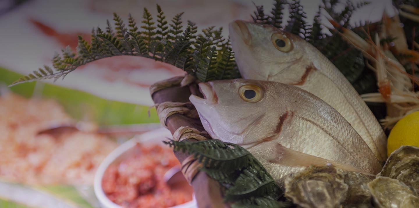 /api/file/public/261958/29287