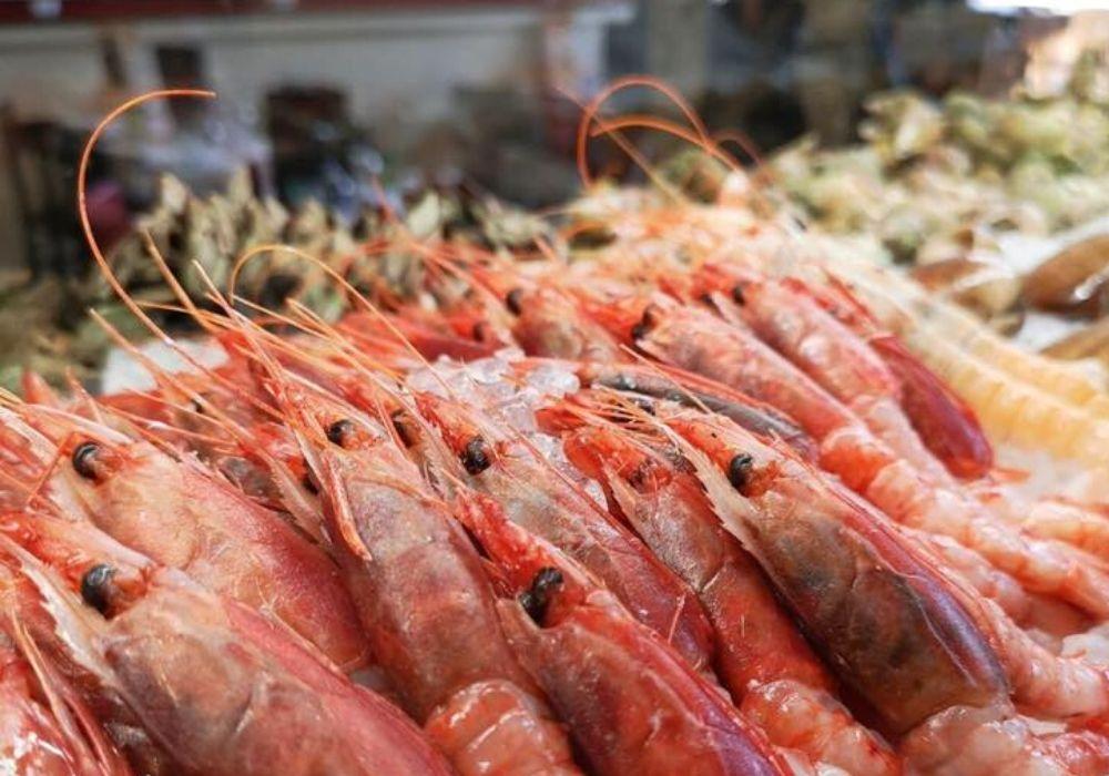 /api/file/public/261958/29289