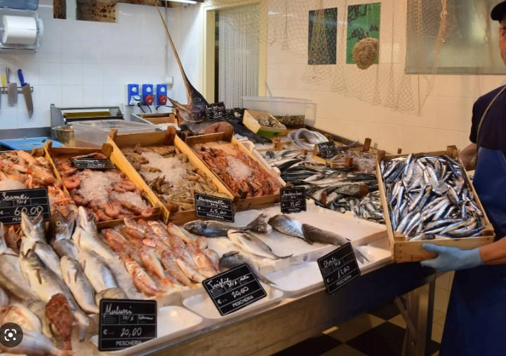 /api/file/public/261958/29290