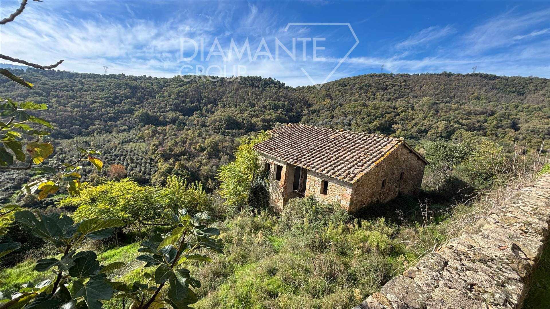 /api/file/public/262154/18913