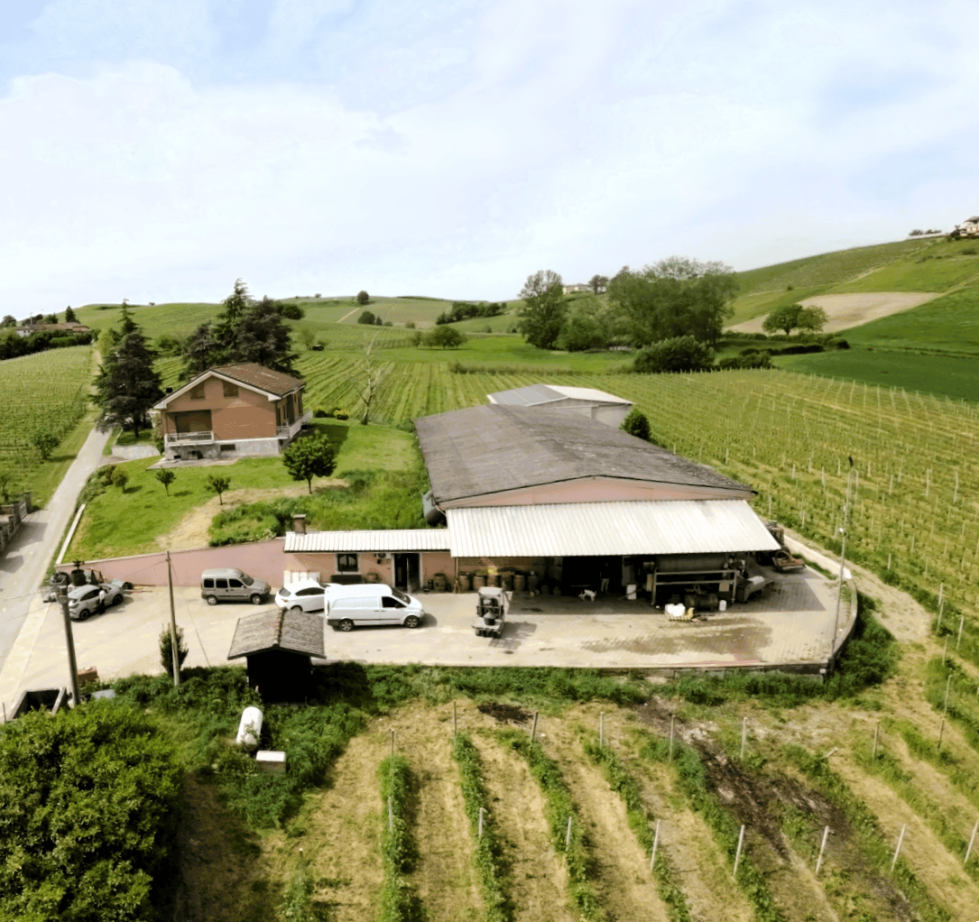 /api/file/public/262206/22184