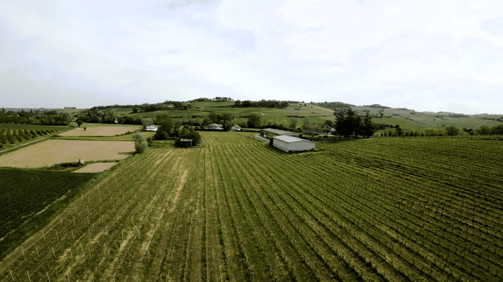 /api/file/public/262206/22186