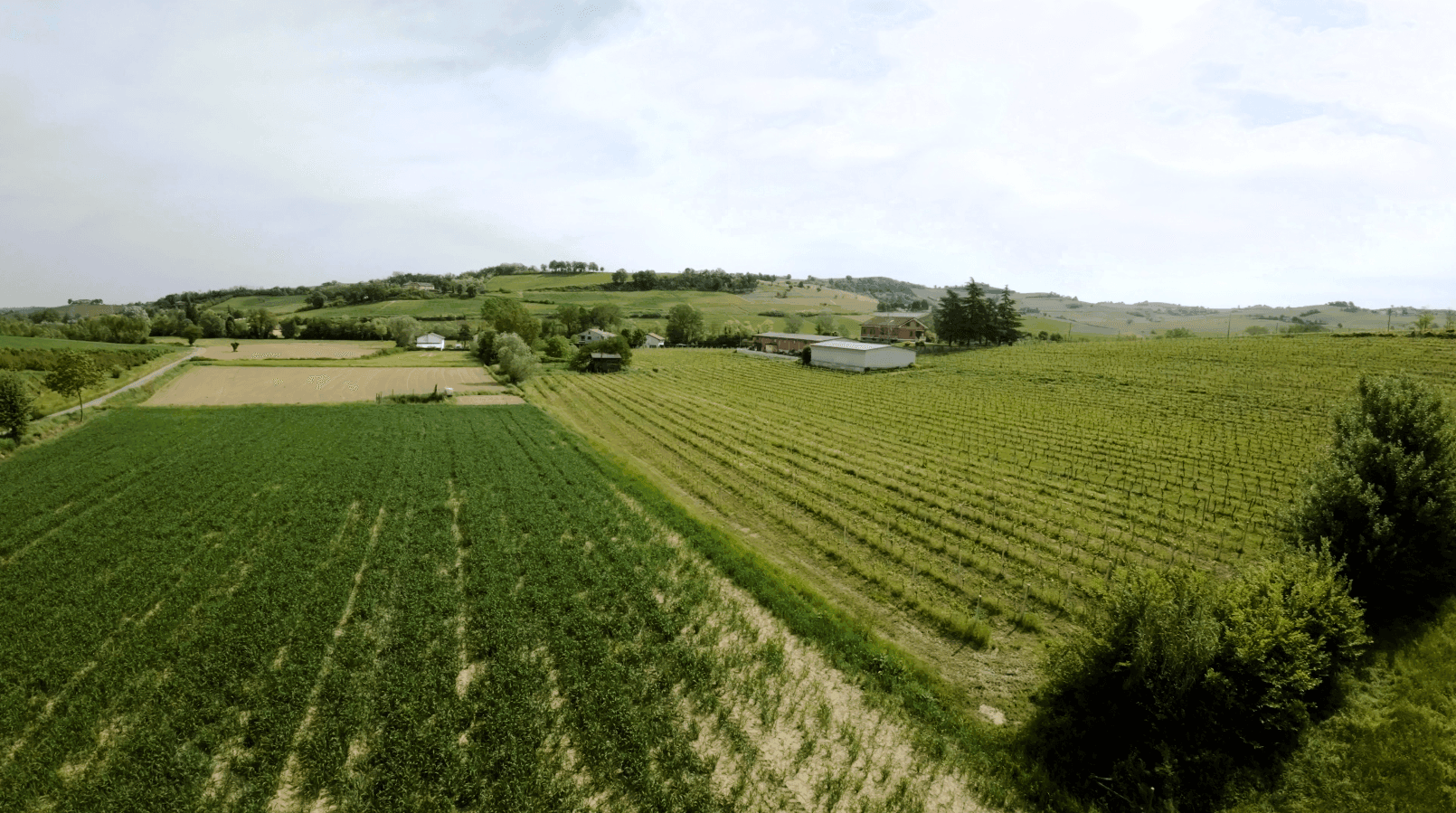 /api/file/public/262206/22188