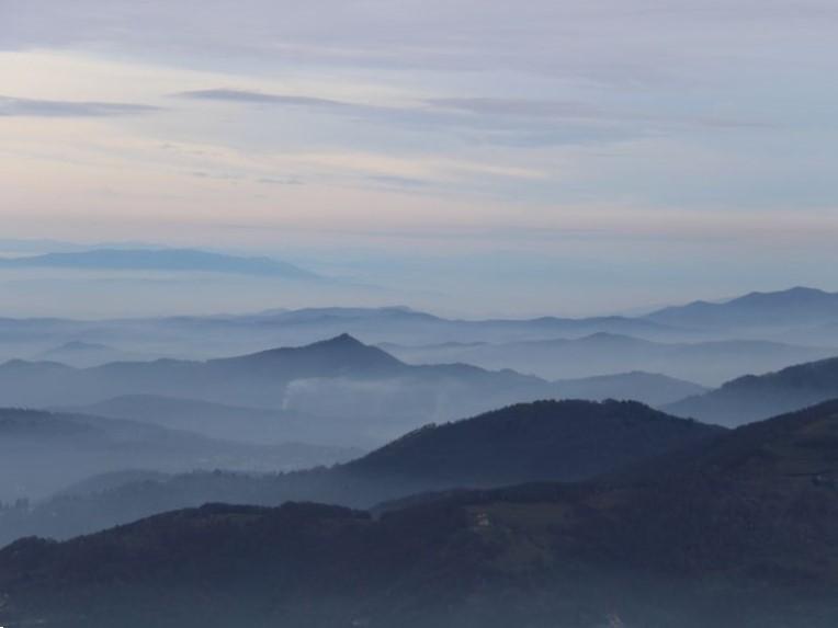 /api/file/public/262252/19153