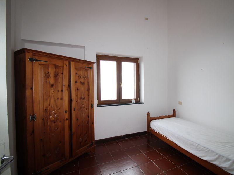 /api/file/public/262252/19156