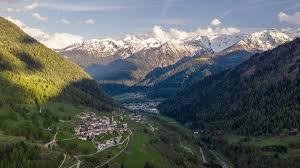 /api/file/public/262312/19236