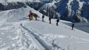 /api/file/public/262312/19240